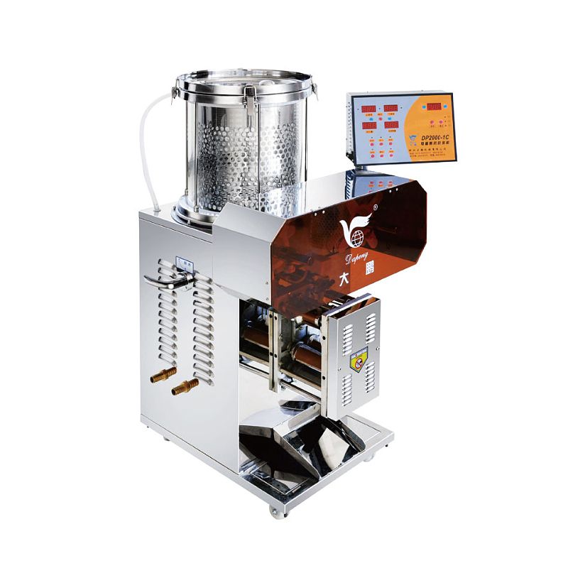 大鹏DAPENG 电煎常压煎药包装一体机 DP2000-1C（1+1型）