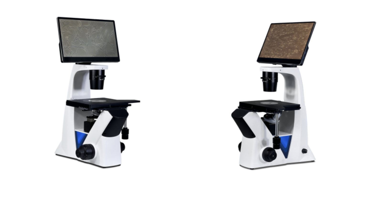 BDS300-DV/ HDMI数字倒置显微镜