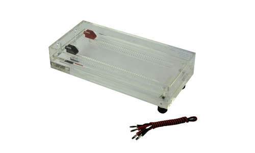 JY-DD3型 等电聚焦电泳