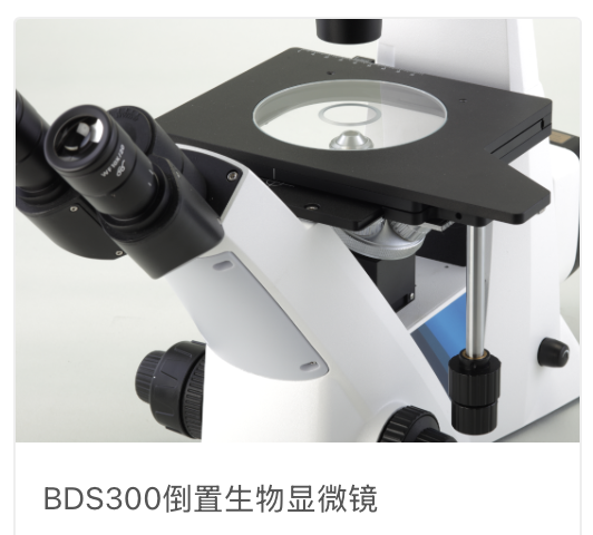 BDS300倒置生物显微镜