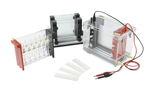 JY-SX3型 双向电泳槽