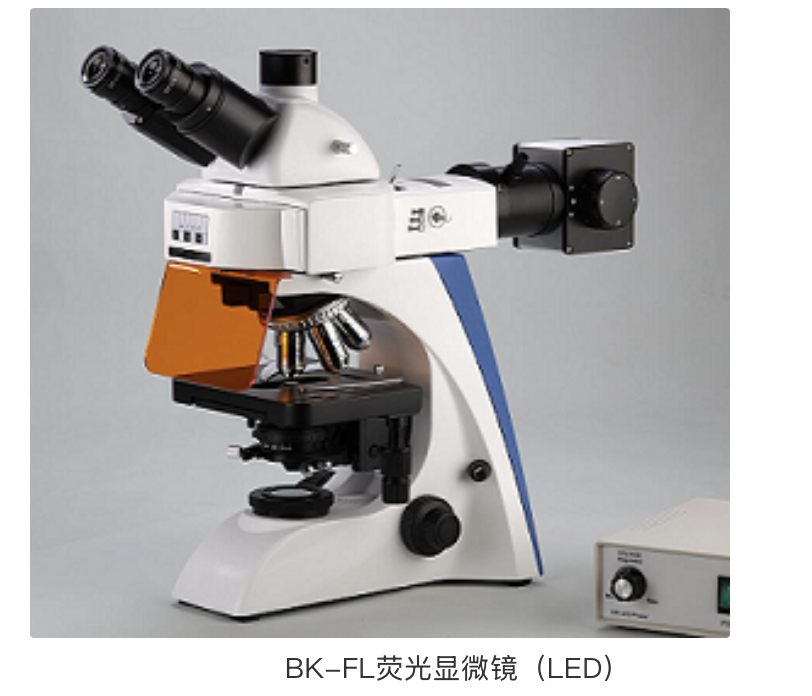 截屏2026-03-25 08.54.30