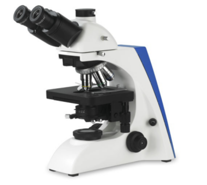 BK6000实验室生物显微镜