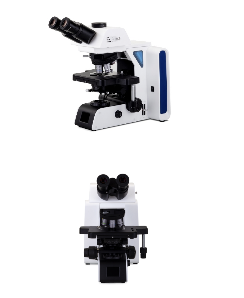 BRS1200研究级生物显微镜