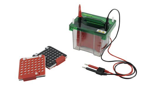 JY-ZY5型 转移电泳槽