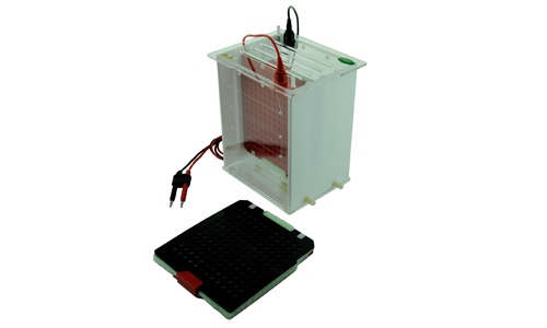 JY-ZY2型 转移电泳槽