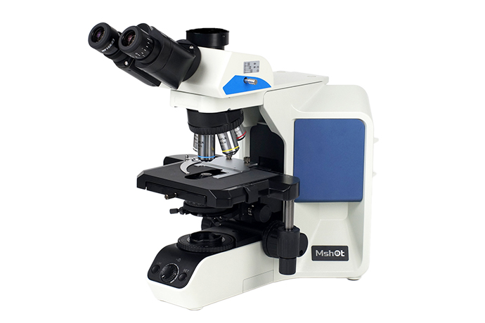 研究级生物显微镜ML51-M