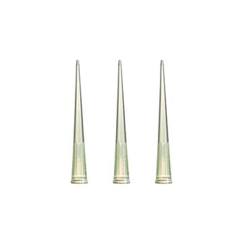 徕谱 盒装灭菌滤芯吸头200ul （50盒/箱） LP200-1-TFS