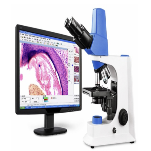 SMARTe500一体化数码显微镜