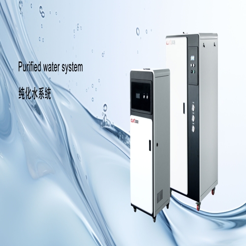 纯化水系统KPW-300