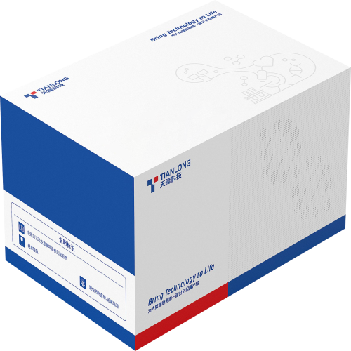 Ex-HBV/HCV病毒（400/500） T506