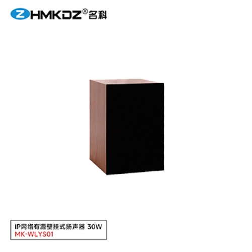 壁挂式扬声器 30W 型号：MK-WLYS01
