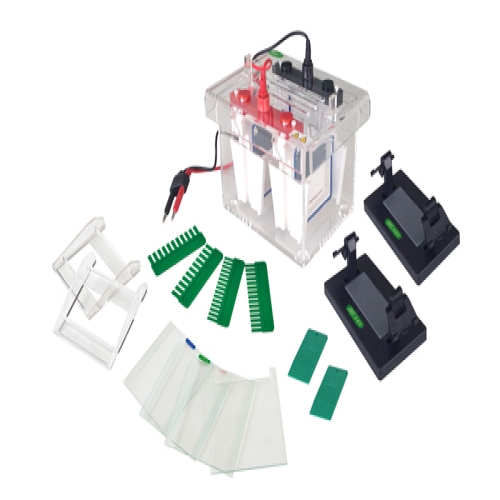 JY-SCZ4+型 垂直电泳槽