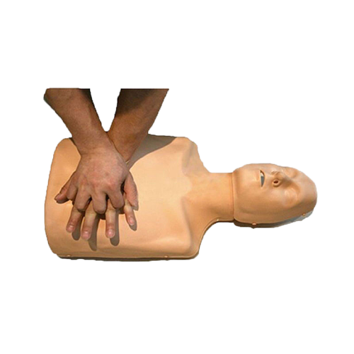 宸博 心肺复苏模拟 人CB/CPR185+