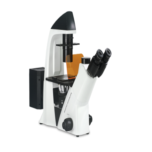 BDS400倒置荧光显微镜