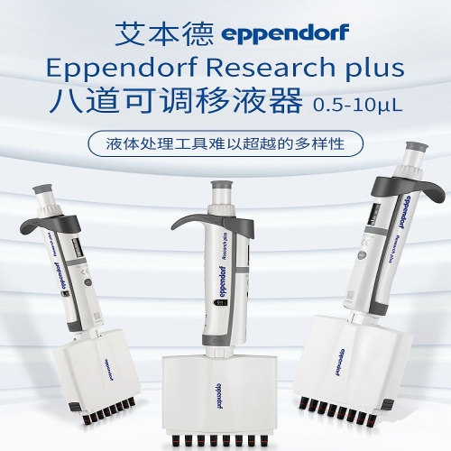艾本德 Eppendorf basic 八道移液器 0.5–10µL 含吸头 3125000010