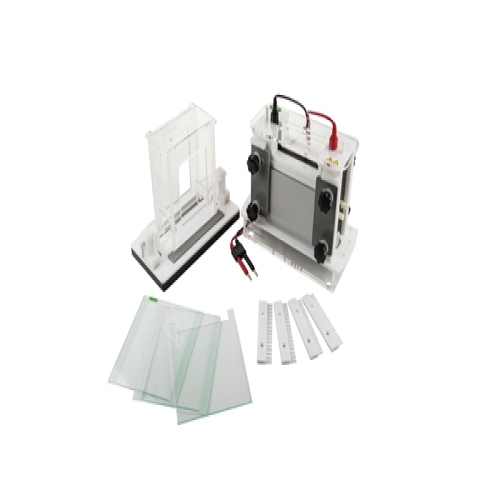 JY-SCZ9型 垂直电泳槽