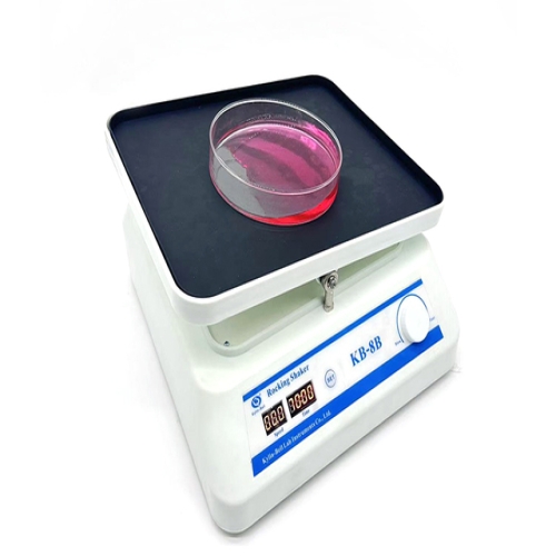 转移脱色摇床KB-8B