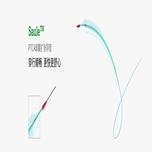 普霖PTCA球囊扩张导管 4.0 9