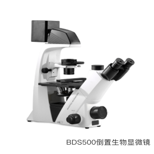  BDS500倒置生物显微镜