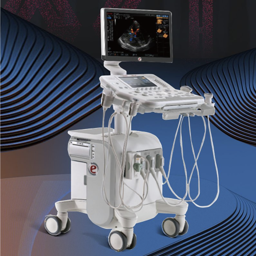 百胜 esaote 超声诊断系统 X6P（AC2541+L4-15+P1-5）