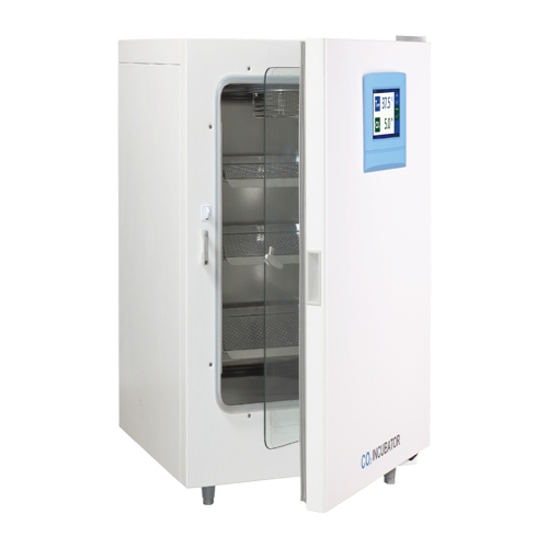 CO2培养箱 BPN-170RWP(T)