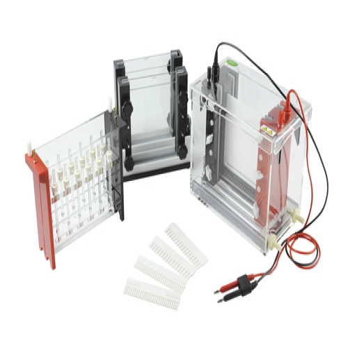 JY-SX3型 双向电泳槽