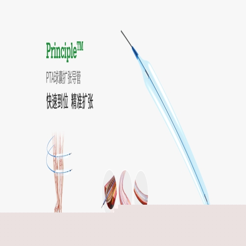 普霖PTA球囊扩张导管 1.5 20 0.014"  800 7F 1.2