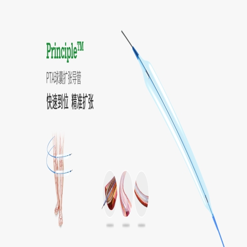 普霖PTA球囊扩张导管 1.5 20 0.014" 1300 7F 1.75