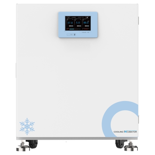 生物安全低温培养箱BISF-100C