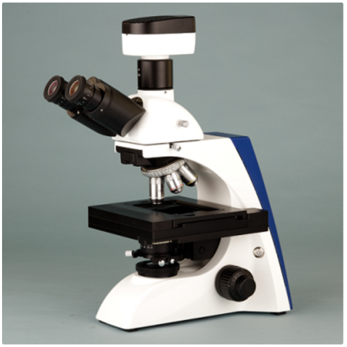 BK全自动扫描系统