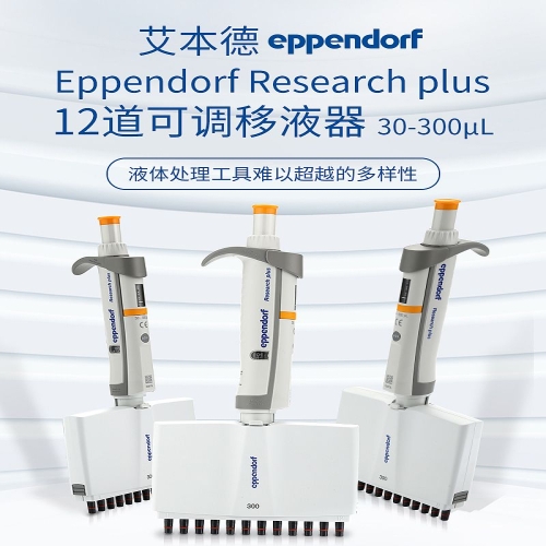 艾本德 Eppendorf basic 12道移液器 30–300µl 含吸头 3125000060