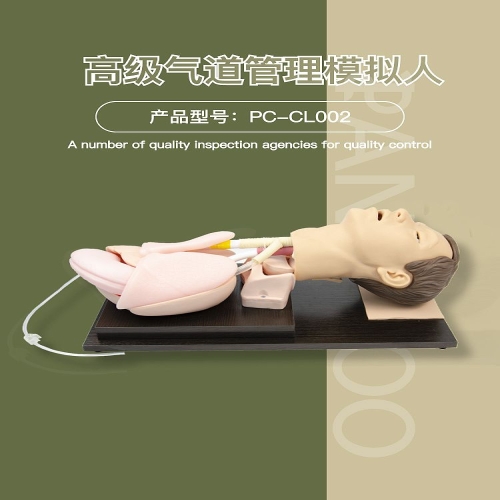 盘古卫勤 高级气道管理模拟人 PC-CL002