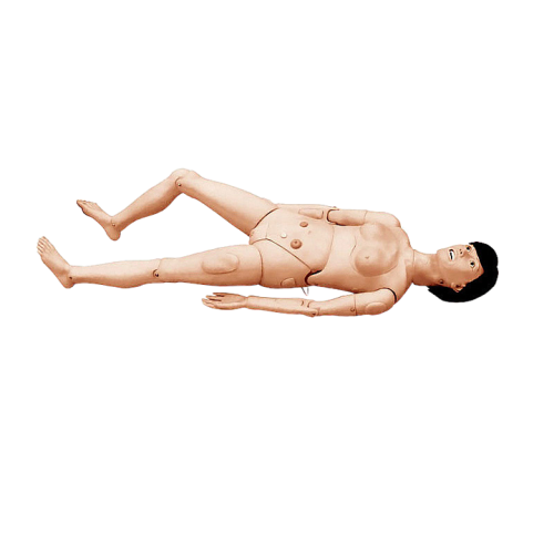 宸博 高级全功能护理训练模拟人（女性） CB/H120B