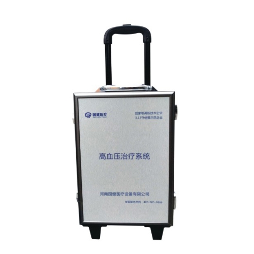 便携式高血压治疗系统