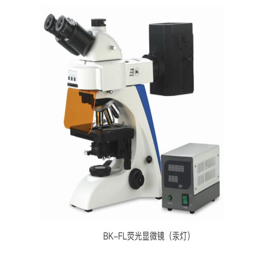  BK-FL荧光显微镜（汞灯）   